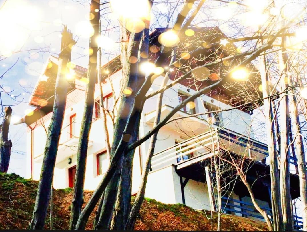 4Temporadas Villa Bran  Exterior foto